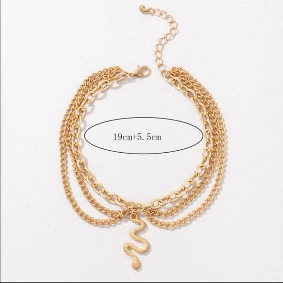 Snake Charm Anklet - Picture 4 of 4
